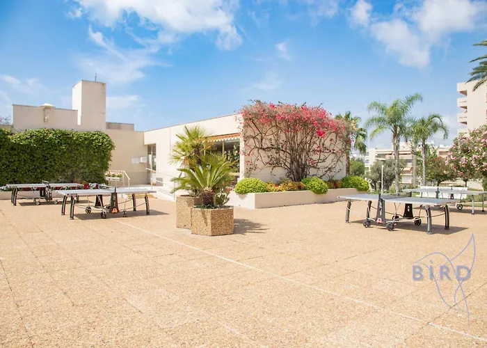 Apartment Flat With Hot Pool *